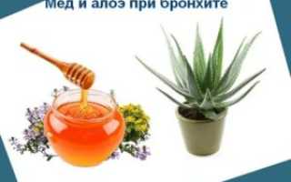 Рецепт от бронхита с алоэ и медом