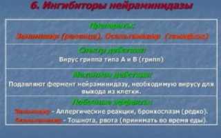 Ингибиторы нейраминидазы препараты