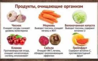Какие продукты очищают легкие
