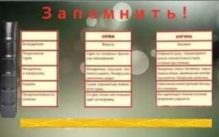 Как отличить ангину от простуды