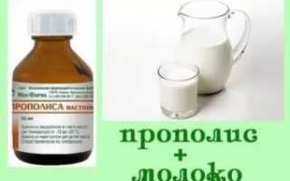 Настойка прополиса при бронхите применение