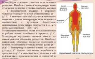 Почему тело горячее а температуры нет