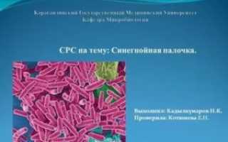 Синегнойная палочка в носу
