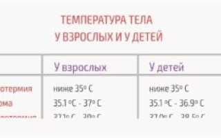 Температура у ребенка в 6 месяцев норма