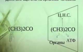 Ацетон влияние на организм человека