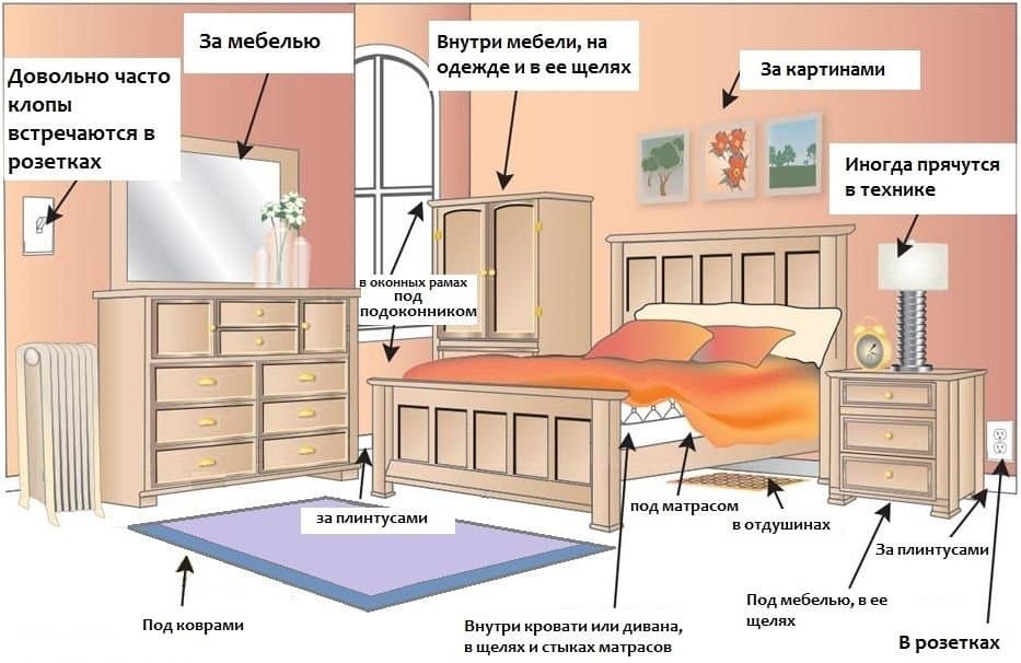 Места нанесения