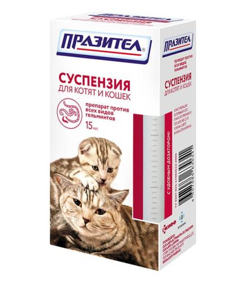 Празител
