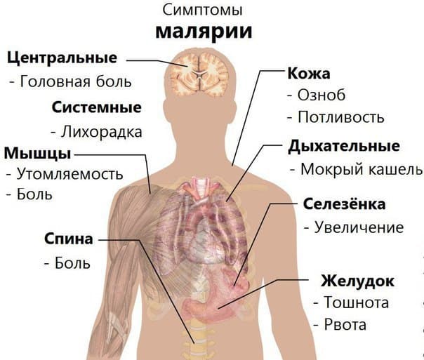 Симптомы