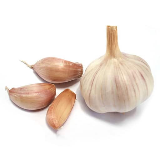 chesnok