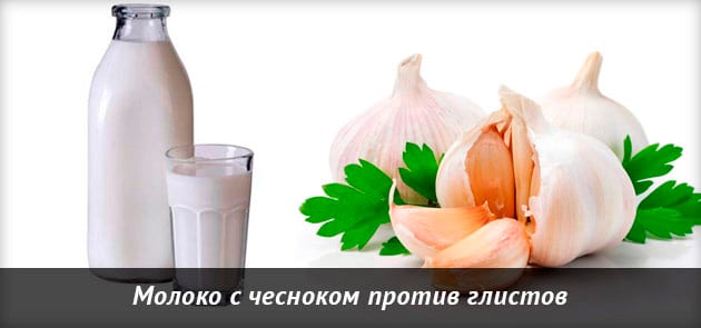 Чеснок