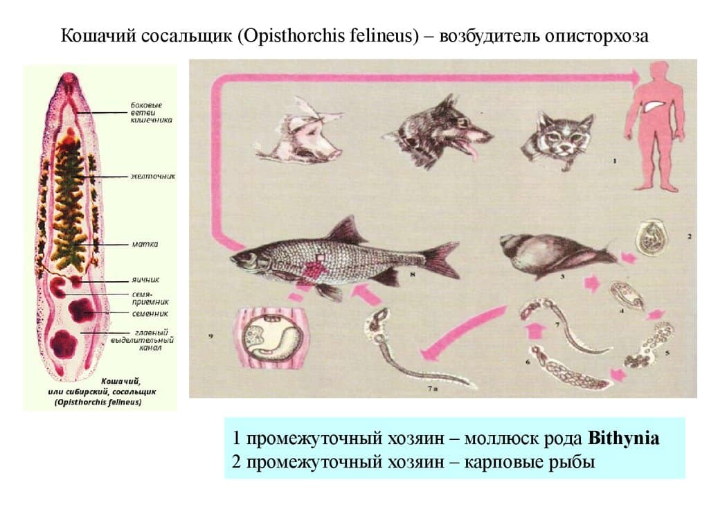 Передача