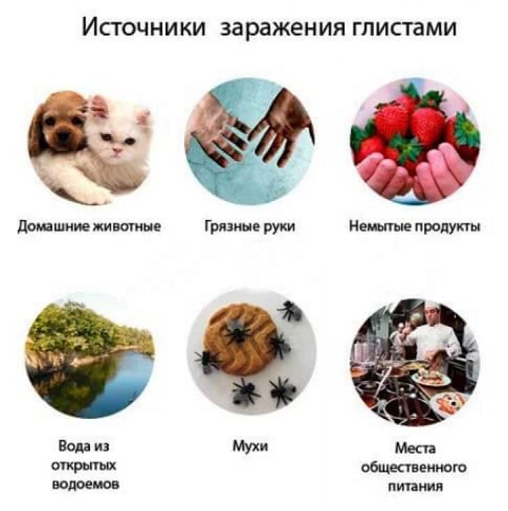 Как проводится профилактика паразитов в организме человека?