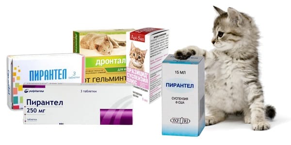 Можно ли применять медицинский Пирантел для животных?