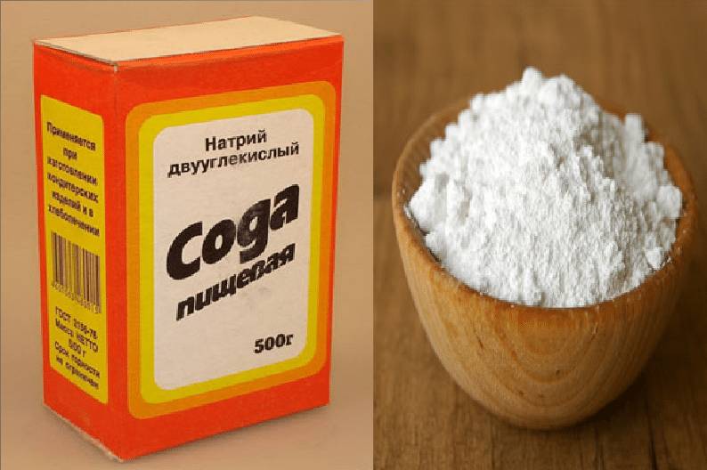 Как лечить описторхоз в домашних условиях и эффективность методов?