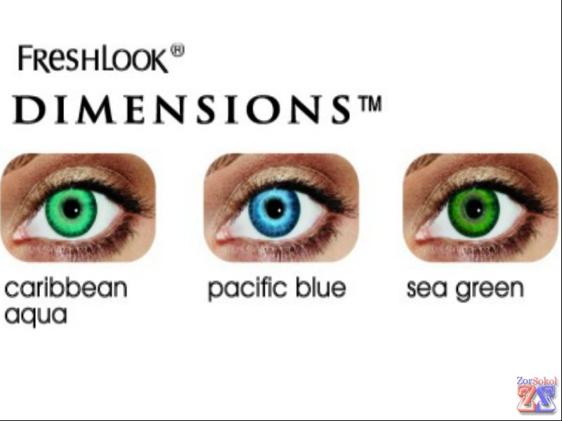 Fresh Look Dimensions Fresh Look Dimensions