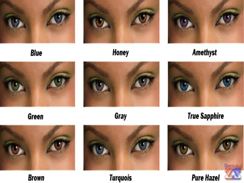 Fresh Look ColorBlends Fresh Look ColorBlends